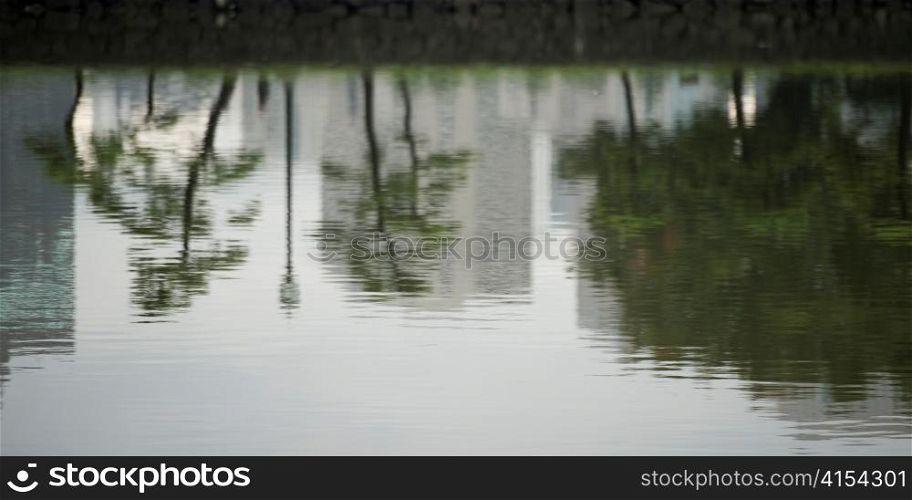 Reflection of trees in water, Kokyo Gaien, Imperial Palace, Tokyo, Japan