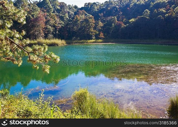 Reflection of trees in water, Lagunas De Montebello National Park, Chiapas, Mexico