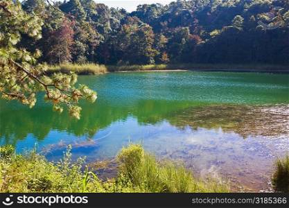 Reflection of trees in water, Lagunas De Montebello National Park, Chiapas, Mexico
