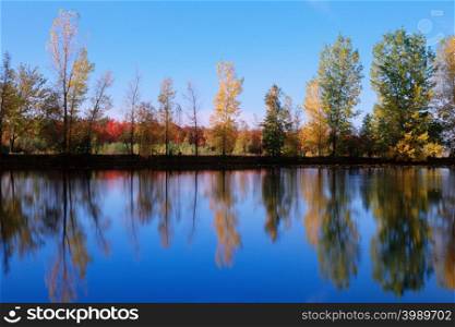 Reflection of trees on a lake