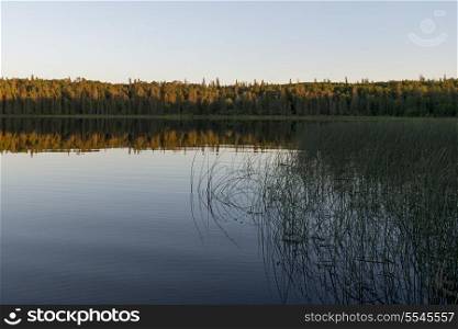 Reflection of trees on lake, Lake Audy Campground, Riding Mountain National Park, Manitoba, Canada