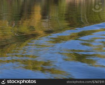 Reflection of trees on water, Kenora, Lake of The Woods, Ontario, Canada