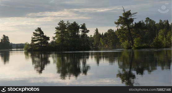 Reflection of trees on water, Lake of the Woods, Ontario, Canada