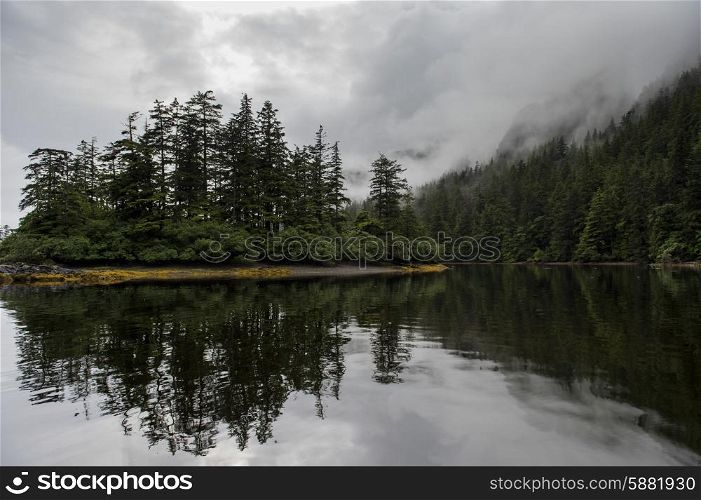 Reflection of trees on water, Skeena-Queen Charlotte Regional District, Haida Gwaii, Graham Island, British Columbia, Canada