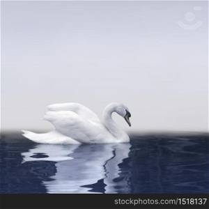 Reflection of white swan on a dark calm pond