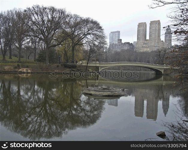 reflections in the great lake in central park, NYC
