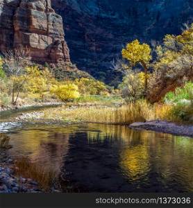 Reflections in the Virgin River