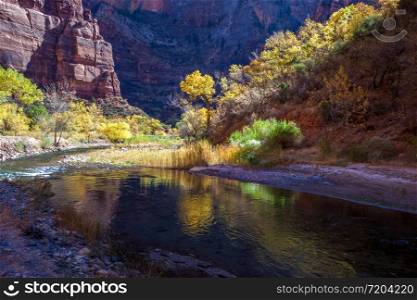 Reflections in the Virgin River