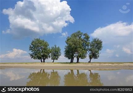 Reflexion of clouds and trees in the Danube river