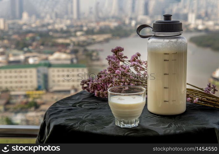 Refreshing and enjoy with a cup of homemade Soy milk in the morning. Healthy drink, Alternative milk concept. Selective focus, Copy space.