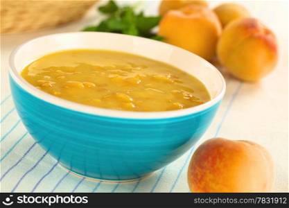 Refreshing cold peach soup in blue bowl (Selective Focus, Focus one third into the soup)