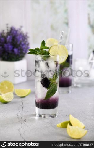 Refreshing summer cocktail Blackberry mojito with ice, fresh mint and lime