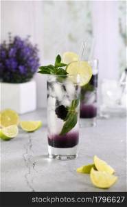 Refreshing summer cocktail Blackberry mojito with ice, fresh mint and lime