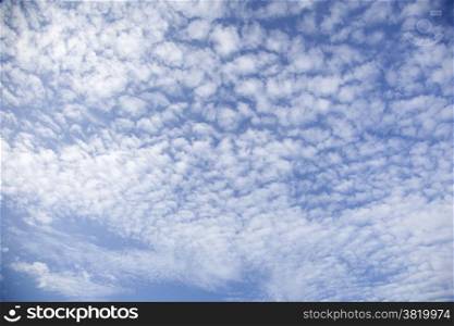 regular pattern of fluffy clouds in blue sky