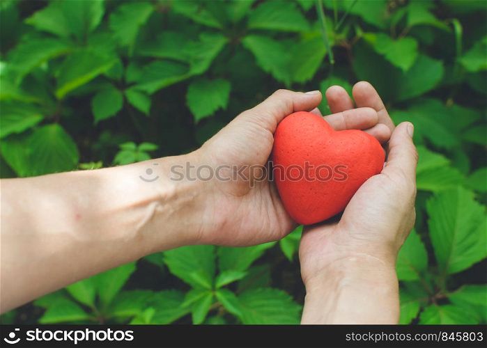 Relationship and love concept - close up of womans hands holding red heart on green background. Day of donor. Womans hands holding red heart. Love concept