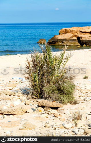 relax near sky in oman coastline sea ocean gulf rock and beach