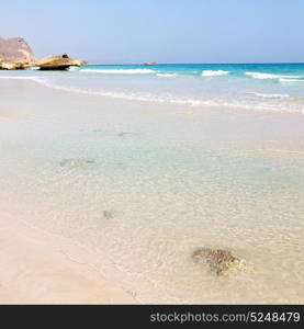 relax near sky in oman coastline sea ocean gulf rock and beach