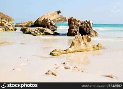 relax near sky in oman coastline sea ocean gulf rock and beach