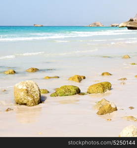 relax near sky in oman coastline sea ocean gulf rock and beach