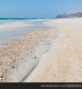 relax near sky in oman coastline sea ocean gulf rock and beach