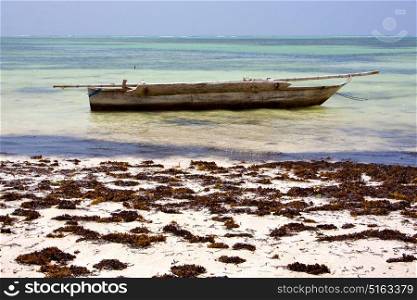 relax of zanzibar africa coastline boat pirague in the blue lagoon