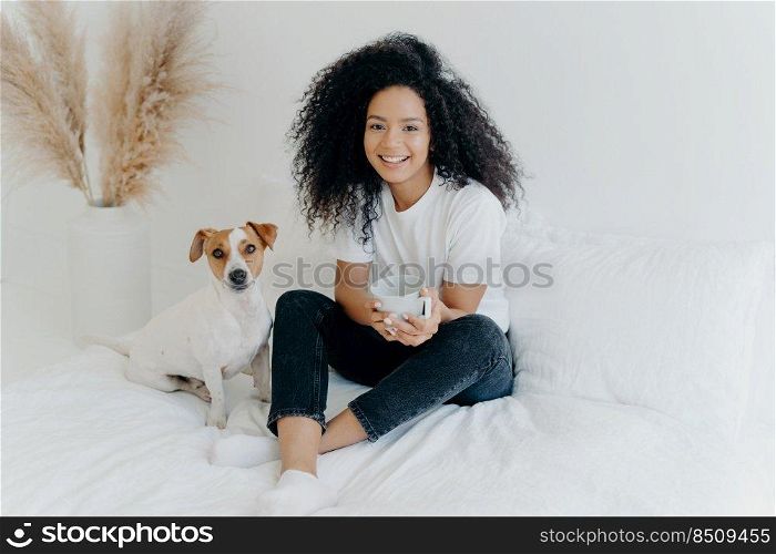 Relaxed attractive Afro American woman drinks aromatic hot drink from white mug, poses on bed together with jack russell terrier dog, enjoy domestic atmosphere, being in cozy bedroom at home