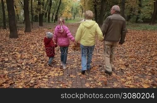 Relaxed grandparents with grandchildren holding hands walking along footpath covered with fallen foliage in autumn park. Back view. Multi-genereation family enyoing warm fall day during a walk in public park in indian summer. Slow motion.
