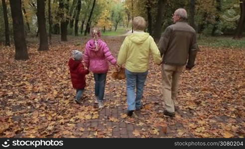 Relaxed grandparents with grandchildren holding hands walking along footpath covered with fallen foliage in autumn park. Back view. Multi-genereation family enyoing warm fall day during a walk in public park in indian summer. Slow motion.