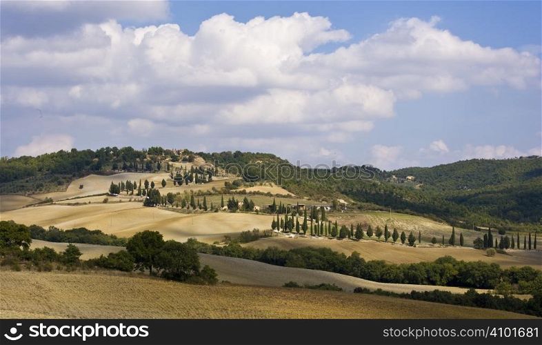 relaxing landscape of tuscan rural area in a beautiful day