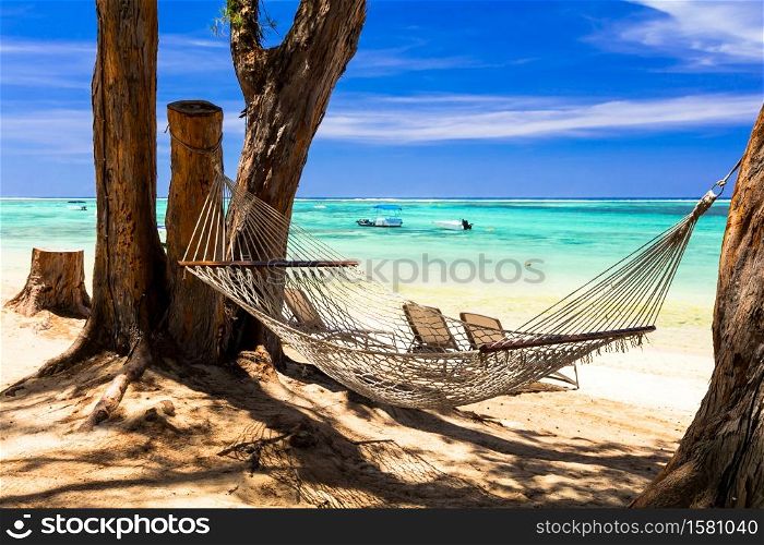 relaxing tropical holidays - hammock on the beach between palm trees