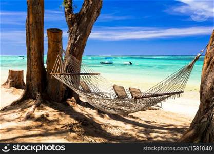 relaxing tropical holidays - hammock on the beach between palm trees