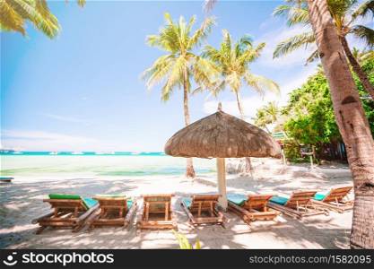 Relaxing under a palm tree on the beach. Holiday and vacation concept.. Coconut Palm tree on the sandy beach