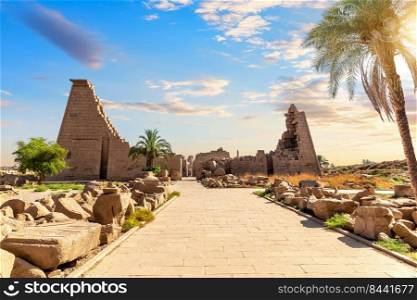 Remains of Karnak Temple behind the palm tree, Luxor, Egypt.. Remains of Karnak Temple behind the palm tree, Luxor, Egypt