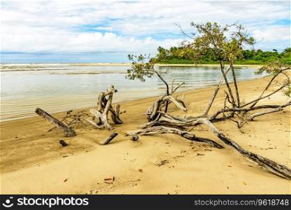 Remote beautiful beach surrounded by maggroves in Serra Grande on the south coast of Bahia. Remote beautiful beach surrounded by maggroves