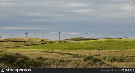 Remote farmland with telephone posed and wire fence