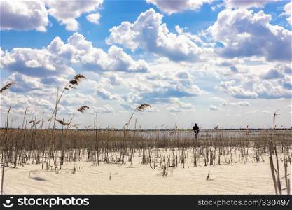 Remote silhouette of a man on a cane sandy beach by the lake under a beautiful cloudy sky.. Landscape with a cloudy sky and reed sandy beach