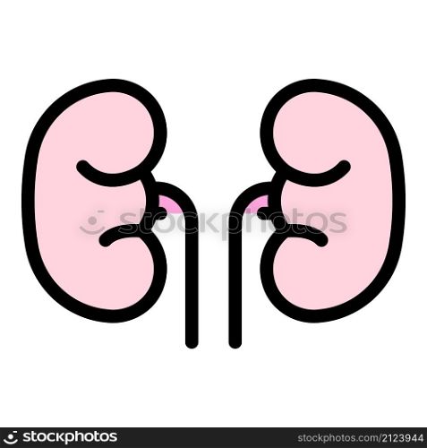 Renal kidney icon. Outline renal kidney vector icon color flat isolated. Renal kidney icon color outline vector