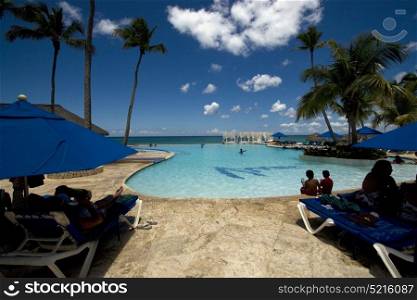 republica dominicana pool tree palm peace marble and relax near the caribbean beach