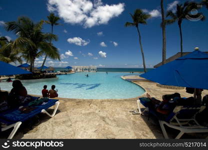republica dominicana pool tree palm peace marble and relax near the caribbean beach
