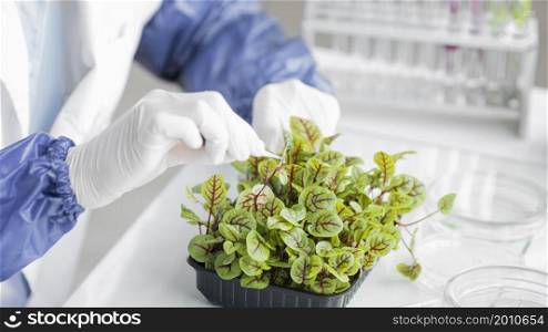 researcher with plant biotechnology laboratory