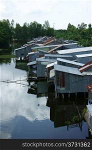 Residential area on river, houses make by corrugated iron are close toghther