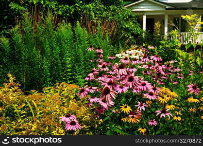 Residential garden landscaping