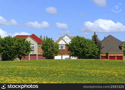 Residential upscale homes with park view in the spring