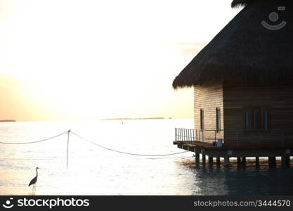 resort maldivian houses on sunrise