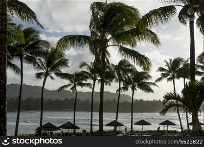 Resort on the beach, North Shore, Oahu, Hawaii, USA