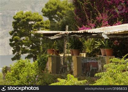 Restaurant surrounded with trees, Sorrento, Naples Province, Campania, Italy