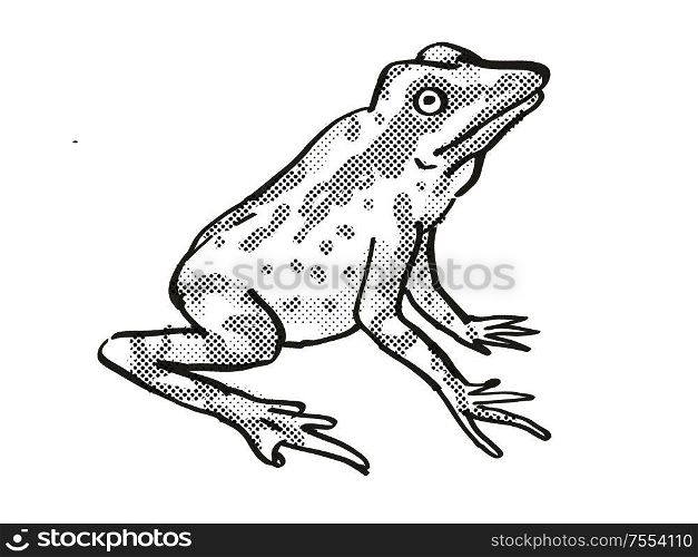 Retro cartoon line drawing style drawing of a Andersson&rsquo;s Stubfoot Toad, an endangered wildlife species on isolated background done in black and white full body.. Andersson&rsquo;s Stubfoot Toad Endangered Wildlife Cartoon Drawing