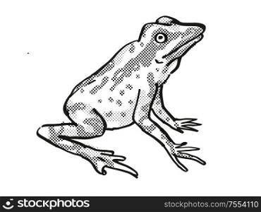 Retro cartoon line drawing style drawing of a Andersson&rsquo;s Stubfoot Toad, an endangered wildlife species on isolated background done in black and white full body.. Andersson&rsquo;s Stubfoot Toad Endangered Wildlife Cartoon Drawing