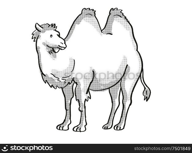 Retro cartoon mono line style drawing of a Bactrian Camel or Camelus Bactrianus, type of camel with two humps, an endangered wildlife species on isolated background done in black and white full body.. Bactrian Camel or Camelus Bactrianus Endangered Wildlife Cartoon Mono Line Drawing