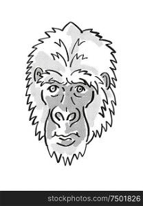 Retro cartoon mono line style drawing of head of an Eastern Gorilla or Gorilla Berengei, an endangered wildlife species on isolated white background done in black and white.. Eastern Gorilla or Gorilla Berengei Endangered Wildlife Cartoon Mono Line Drawing